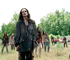 hernance: 4x01 - 4x08