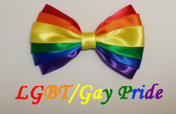 thecraftinourcoffee:  Pride hair bows (x)