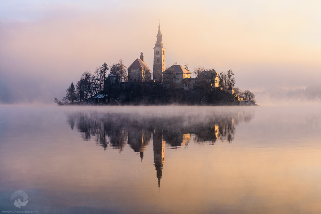 awingedlion:  Morning mists over Lake Bled, Slovenia  Photo by Luka Esenkohttp://lukaesenko.com/portfolio_page/imagine/