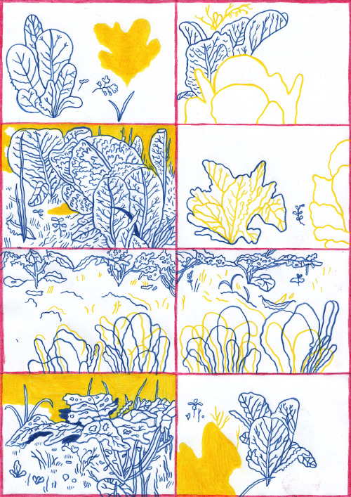 comicsworkbook:  Rowan Tedge “Garden Glasses 17” made for Comics Workbook 
