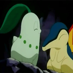 pkmn-obsessed:Chikorita & Cyndaquil reunite with Totodile & Meowth! :3