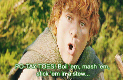 Lord Of The Rings Faramirs Lord Of The Rings Meme Ten Scenes
