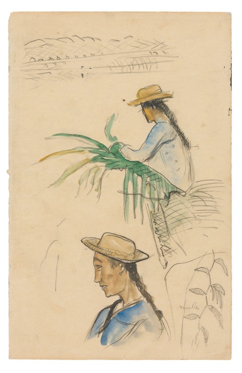 Sketches of Figures, Pandanus Leaf, and Vanilla Plant, Paul Gauguin, 1891, Art Institute of Chicago: