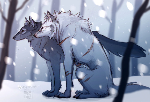 theprojectava:I’ve been watching way too many werewolf movies lately. So… Have some werewolf!AU / Re