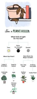 unofficially-nasa:  herbwicc:  plantinghuman:  Funny way to find out which plant you might like to buy. Source:  apartmenttherapy.com  FOR MY FOLLOWERS THAT HAVE DIFFICULTY CARING FOR PLANTS AND ASK WHAT THEY SHOULD BUY, THIS IS REALLY GREAT!!    As