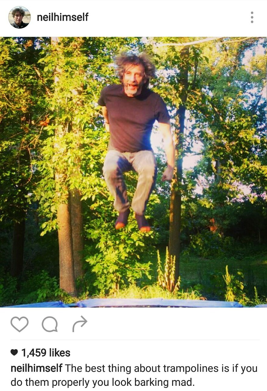 neil-gaiman:  This is a true thing.