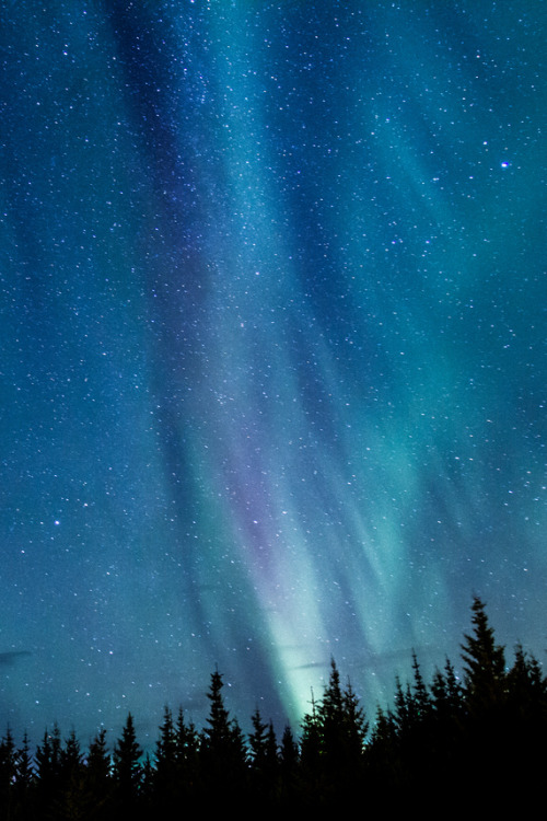 anotic:  A Beautiful Night  |  Óli Magg 