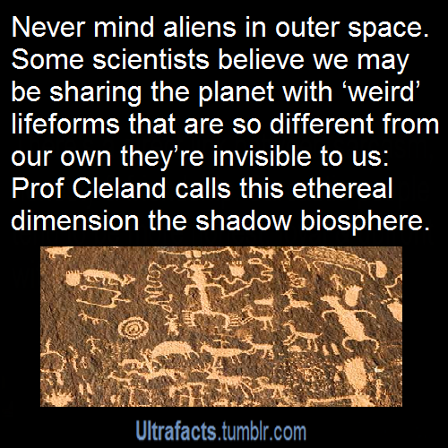 tnorfleet1:  ultrafacts:  More facts? Visit the Ultrafacts Blog  So THAT’S why
