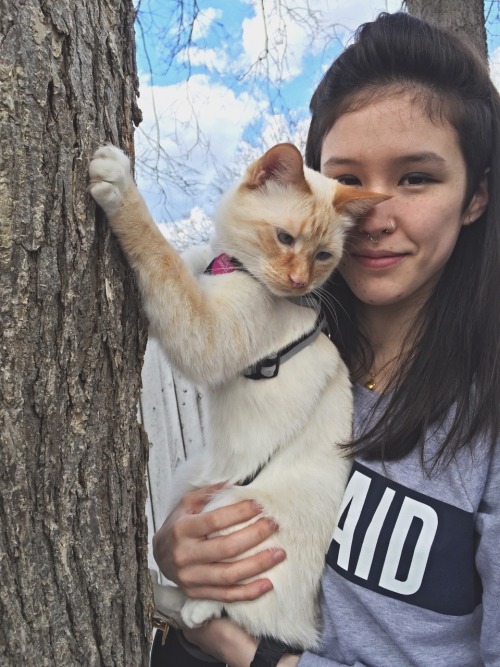 “climbing” the tree