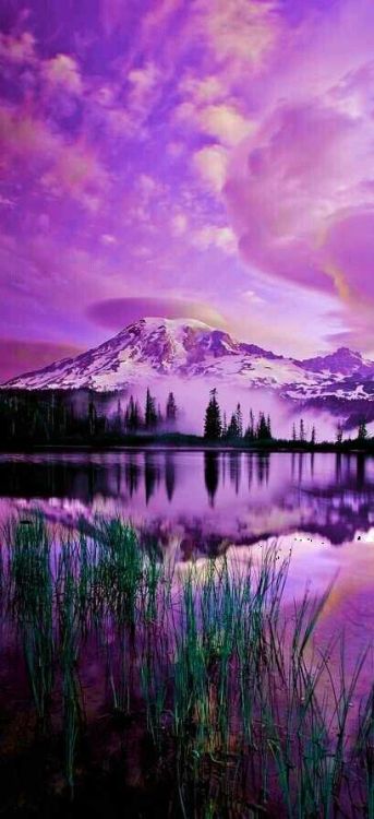 beautyinthislife:Purple Landscape purple aesthetic // (45/66) 