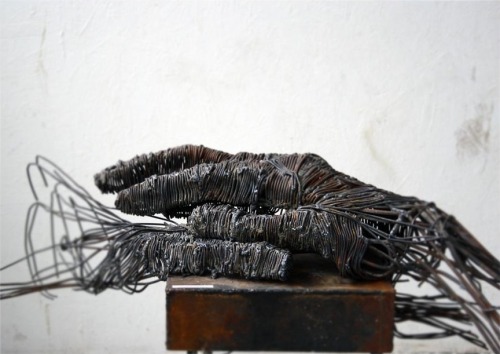 myampgoesto11:  Metal sculptures by Darius Hulea 