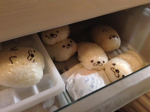 highlandvalley:  “ゴハンアザラシを冷凍庫で飼っています。 http://t.co/PmMkEO52B6”