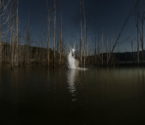 astranemus:Jeremy Blincoe, Mythical Apparitions in Nature