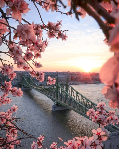 pangeen: Budapest, Hungary by sinhue boksberger