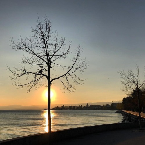 Last of the winter sunsets #pictureoftheday #lausanne #switzerland #iphoneography #1x1 #lacleman #su