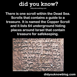 did-you-kno:  There is one scroll within