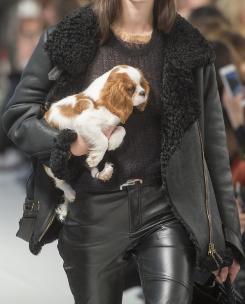 themakeupbrush:the only part of Tod’S Fall 2018 that matters