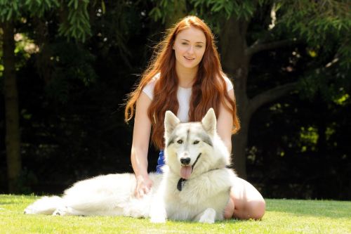 XXX al-grave:  godotal:  Sansa adopted the dire photo