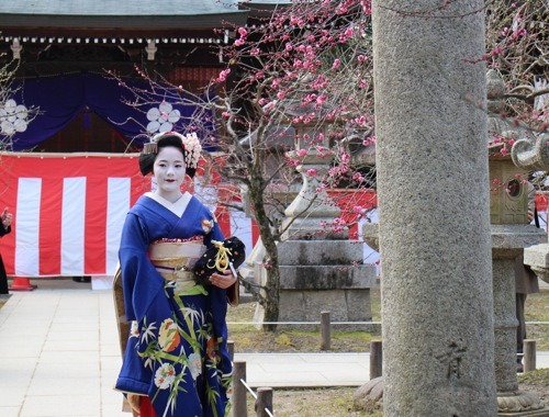 geisha-kai:  Maiko Hisasuzu visting the Baikasai festival in Kamishichiken district