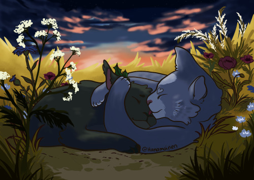 Some Cinderheart/Hollyleaf art from today(edit: I had to go back to this and change the picture, I n