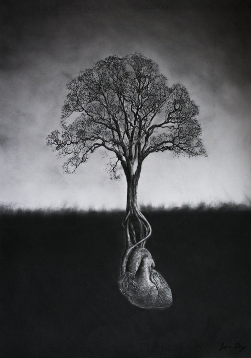 fer1972:  Heart Tree by Jono Dry 