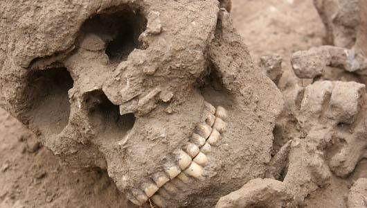 capacity:  mothernaturenetwork:  ‘Third-gender’ caveman  Caveman was buried
