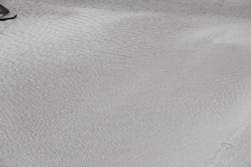 白い海、青い春sony a6400 + SIGMA 56mm F1.4 DC DN | Contemporary2022.4location : 静岡県 Shizuoka, Japan静岡 一眼レフ 