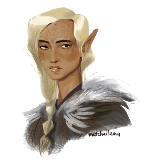 matchallama: Saya Lavellan for @piperwrights! I did this a while ago for Eline’s bday lol
