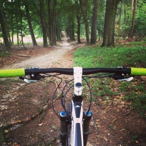 cubebikes: And Uuuupppp…