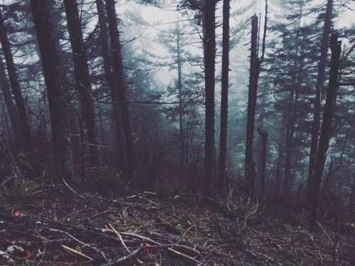 justapplyyourself:Wind Mountain. Stevenson, Washington.