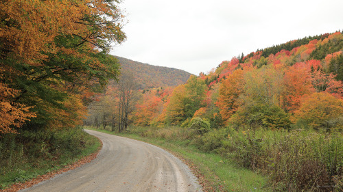 County Route 29 along Gandy Creek in the Monongahela National Forest.  The fall foliage here is