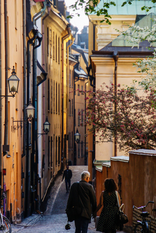 citylandscapes:  Quiet backstreets of Stockholm Source: jakewaage (flickr)  Ó, erre én