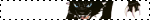 blinkie11