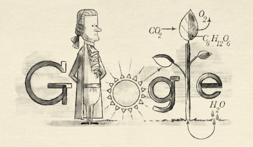 Google Doodle Shines Light On Photosynthesis 