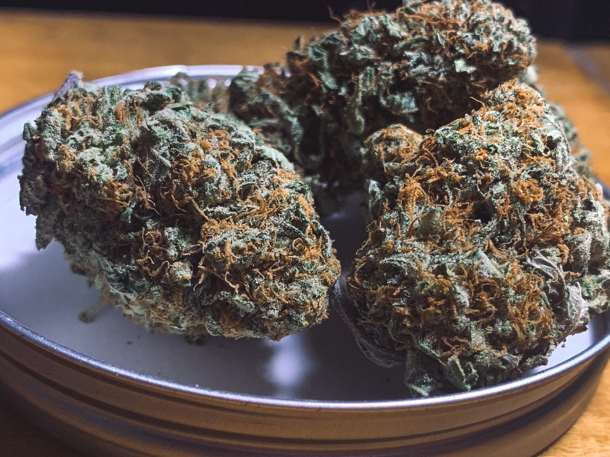 stonermikus:Platinum Cookies 🍪💨𝒮𝓉𝒶𝓎 𝐻𝒾𝑔𝒽 & 𝒦𝑒𝑒𝓅 𝒯𝒽𝑒 𝒢𝑜𝑜𝒹 𝒱𝒾𝒷𝑒𝓈 𝒰𝓅