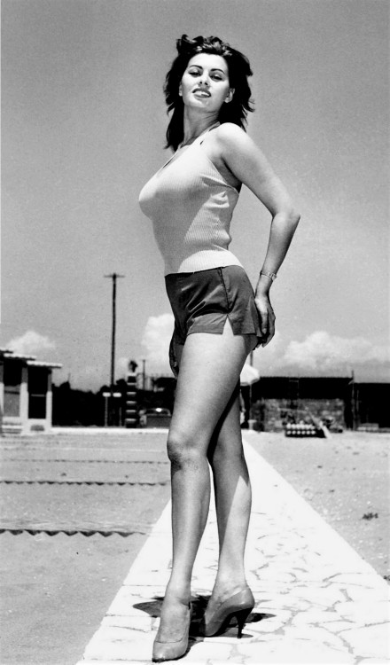 gatabella:Sophia Loren, 1950s