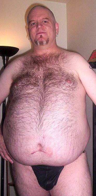 Hollandbear