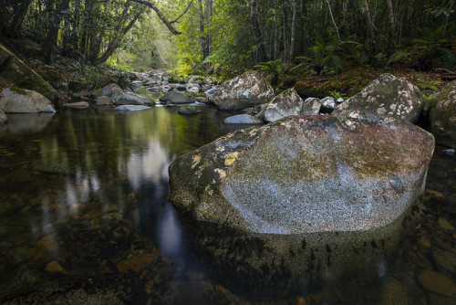 Washpool Serenity by Falke in Ozz on Flickr.