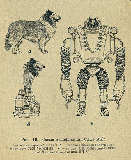 d0gbl0g:Soviet secret project “Collie - Dog Cyborgs” (1958-1969) 1958～1969年まで続いたソビエトの「ロボット・サイボーグ」開発秘