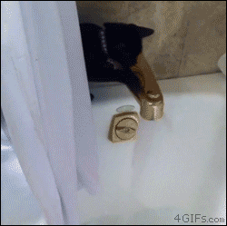 funny-gifs-videos:  follow me for funnyhttp://funny-gifs-videos.tumblr.com/