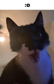 Tfw Your Friend Does A Screen Record W Your Voice In The Background And You Hear How Your Voice Has Changed