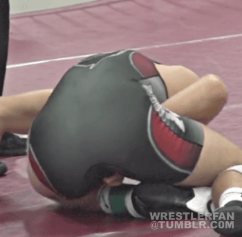 Why We Wrestle