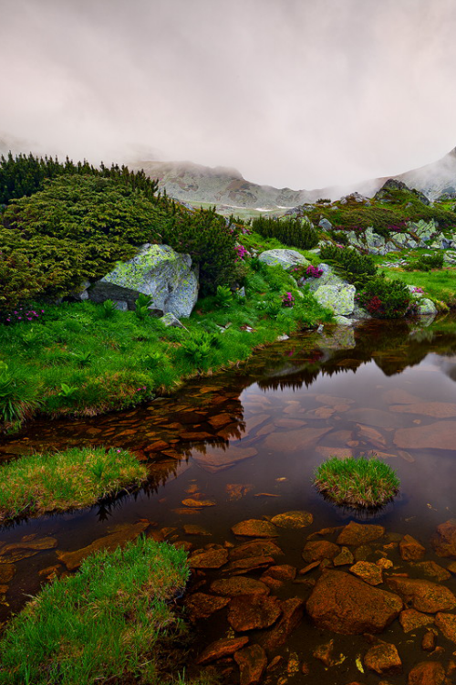expressions-of-nature:  Calm | Zsolt Andras Szabo