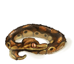 sunflic:  i wanted to draw a fluffy ball python too