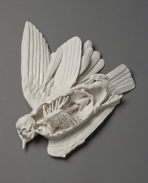 fer1972:  Porcelain Sculptures by Kate MacDowell