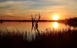 photosworthseeing:  Peaceful, Misty and Tranquil