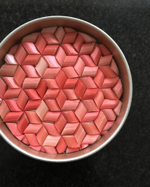 kaberett: Short lengths of rhubarb stem arranged in a cake tin to form a geometric pattern. Source: 