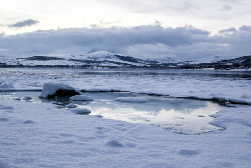 worldstreetjournal:Winter ReflectionsTromsø, Norway