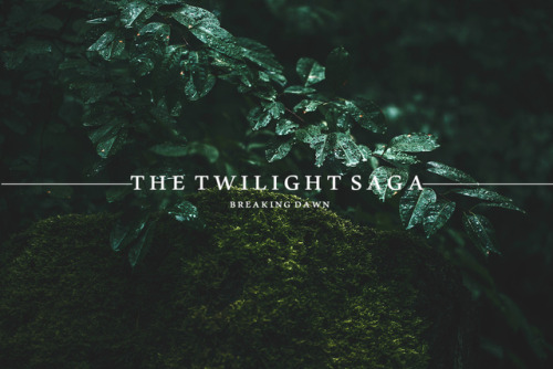 quileutesoul: “About three things I was absolutely positive. First, Edward was a vampire. Seco