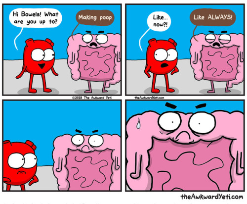 theAwkwardYeti.com